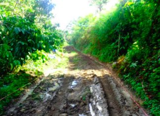 GMKI Gelar Webinar, Ketum GPM dan GKST Bicara Daerah Pelayanan